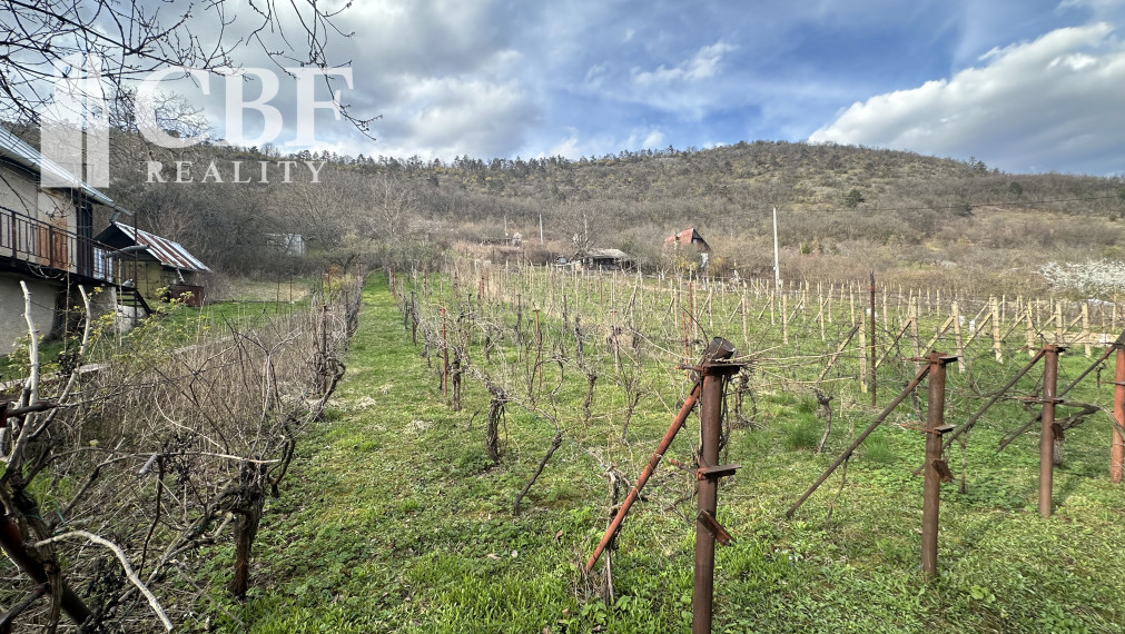 ZNÍŽENÁ CENA - Záhradná chatka s vinicou v obci Hrušov