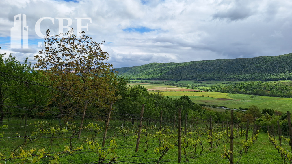 22.000 ! ZÁHRADKÁRSKA CHATKA S VINIČOM NA PREDAJ V HRHOVE