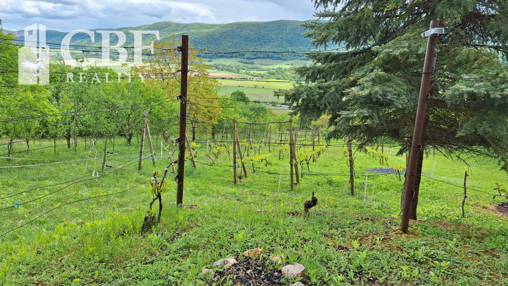 22.000 ! ZÁHRADKÁRSKA CHATKA S VINIČOM NA PREDAJ V HRHOVE