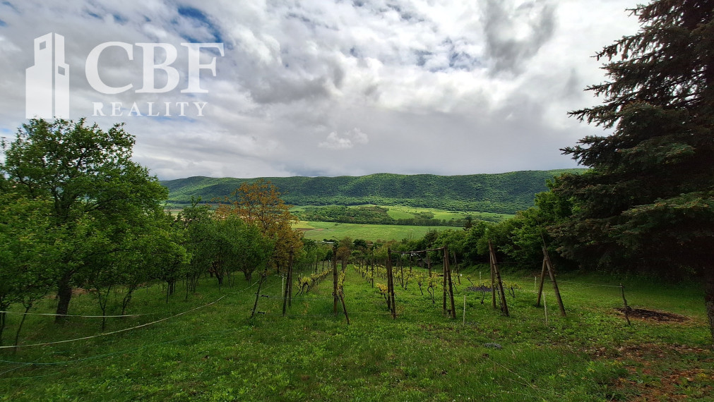 22.000 ! ZÁHRADKÁRSKA CHATKA S VINIČOM NA PREDAJ V HRHOVE