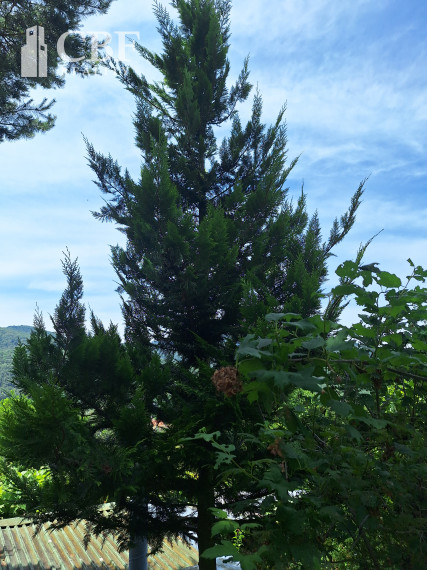 EŠTE NIŽŠIA CENA ! KRÁSNA ZÁHRADA NA BETLIARSKEJ CESTE !