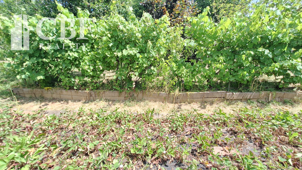 EŠTE NIŽŠIA CENA ! KRÁSNA ZÁHRADA NA BETLIARSKEJ CESTE !