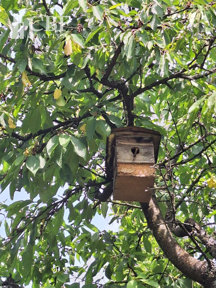EŠTE NIŽŠIA CENA ! KRÁSNA ZÁHRADA NA BETLIARSKEJ CESTE !