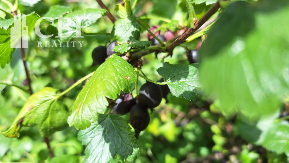 VÝRAZNE ZNÍŽENÁ CENA ! SLNKOM ZALIATA ZÁHRADA NA RUDNIANSKOM KOPCI !