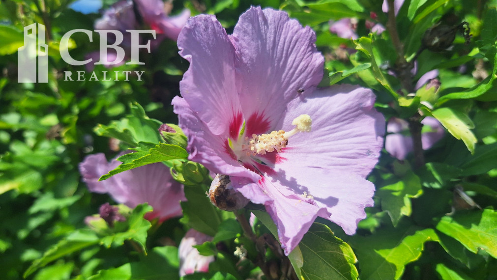 VÝRAZNE ZNÍŽENÁ CENA ! SLNKOM ZALIATA ZÁHRADA NA RUDNIANSKOM KOPCI !