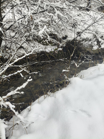 Pozemok v Leštinách 500 m2 pre dom / chatku / mobilný dom