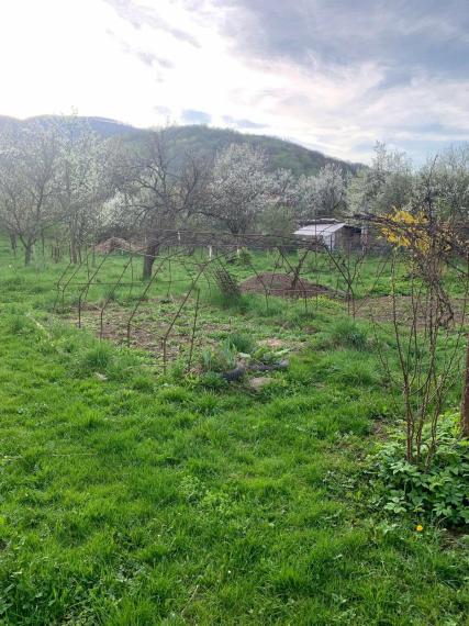 NA PREDAJ DOM S HOSPODÁRSKYM ZÁZEMÍM, ZÁHRADOU V NADABULEJ