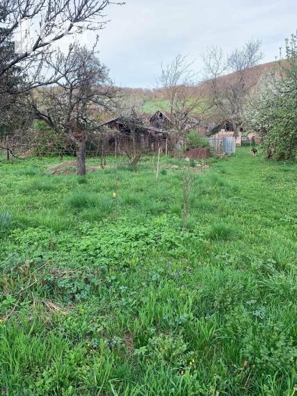 Na predaj VIDIECKY DOMČEK v pôvodnom stave v Nadabulej