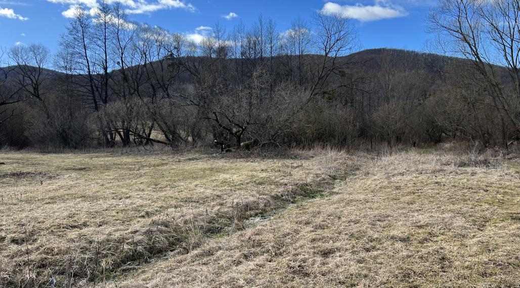 Pozemok na predaj v Drnave