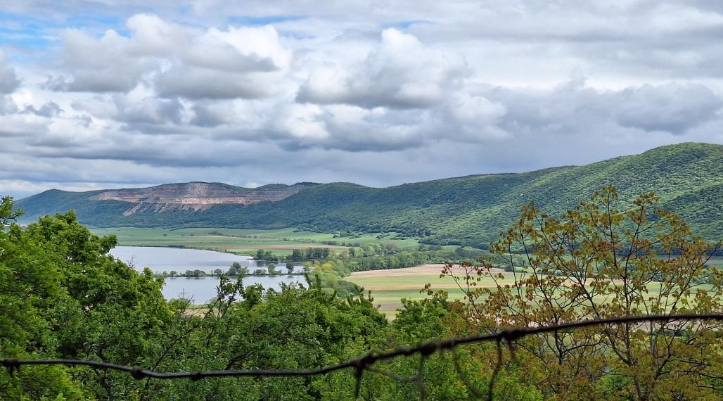 22.000 ! ZÁHRADKÁRSKA CHATKA S VINIČOM NA PREDAJ V HRHOVE