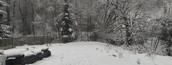 Pozemok v Leštinách 500 m2 pre dom / chatku / mobilný dom