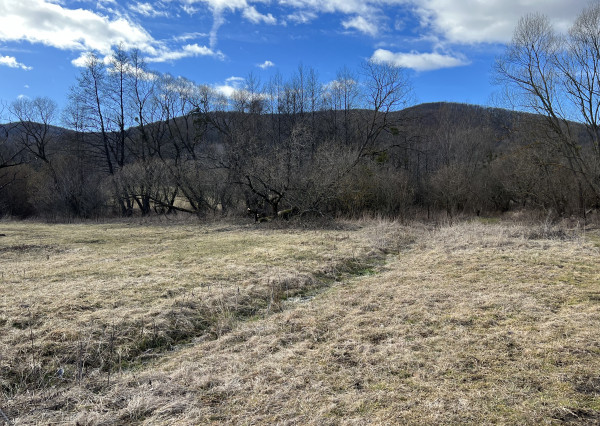 Pozemok na predaj v Drnave