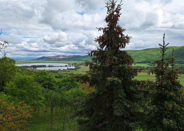 22.000 ! ZÁHRADKÁRSKA CHATKA S VINIČOM NA PREDAJ V HRHOVE