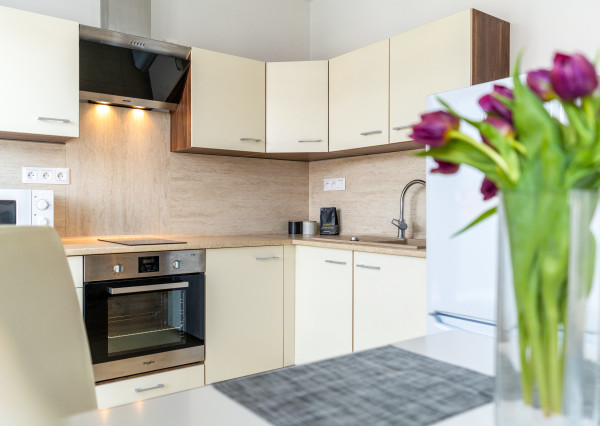 PREDANÉ / Bývanie bez kompromisov: novostavba, vybavenie, výhľad Svit