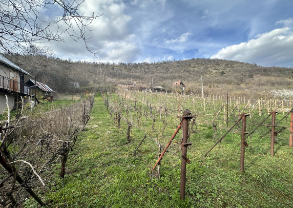 ZNÍŽENÁ CENA - Záhradná chatka s vinicou v obci Hrušov