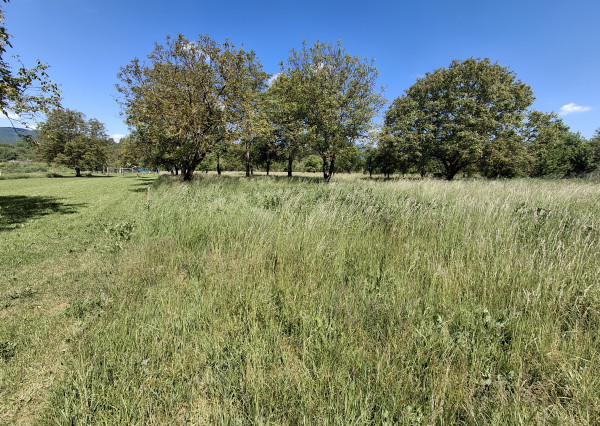 Na predaj slnečný pozemok v obci Brzotín, okr. Rožňava