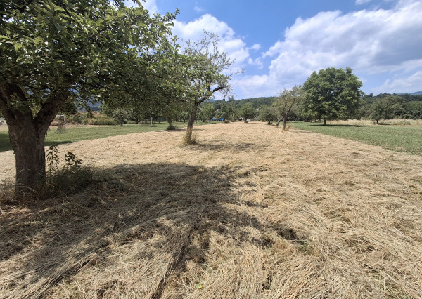 Na predaj slnečný pozemok v obci Brzotín, okr. Rožňava