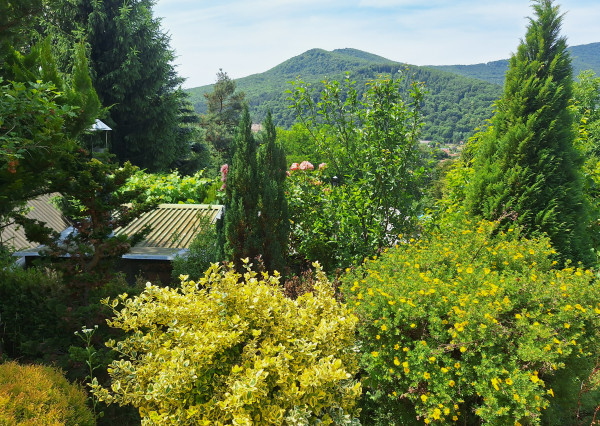 EŠTE NIŽŠIA CENA ! KRÁSNA ZÁHRADA NA BETLIARSKEJ CESTE !