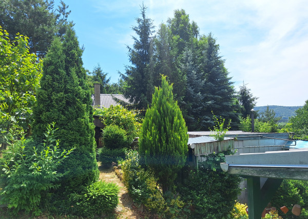 EŠTE NIŽŠIA CENA ! KRÁSNA ZÁHRADA NA BETLIARSKEJ CESTE !