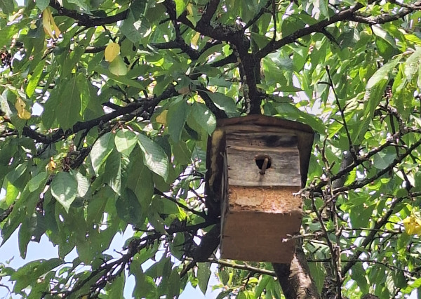 EŠTE NIŽŠIA CENA ! KRÁSNA ZÁHRADA NA BETLIARSKEJ CESTE !