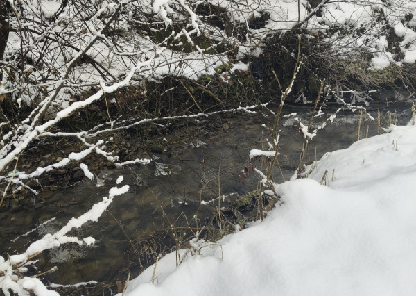Pozemok v Leštinách 500 m2 pre dom / chatku / mobilný dom